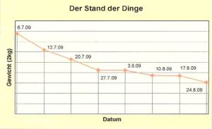 Der-Stand-der-Dinge