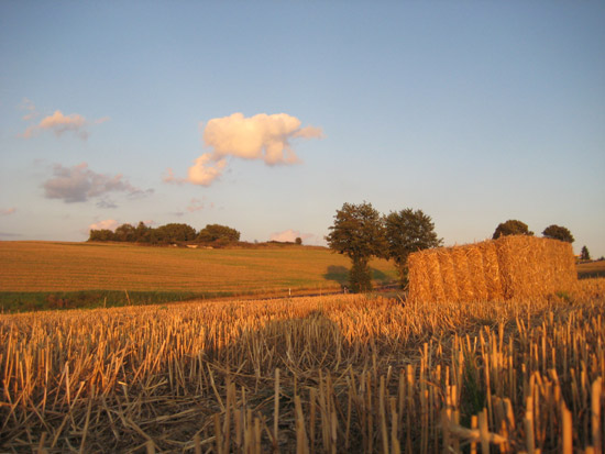 Herbst-Eifel Herbst-Eifel