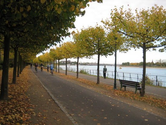 Herbstlicher-Rhein Nach Feierabend unterwegs am herbstlichen Rhein