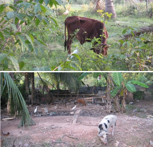 In der Nachbarschaft / In the neigborhood