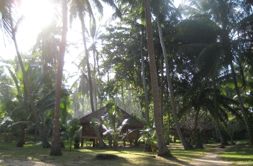 A Palm Paradise Cabana in the palm grove