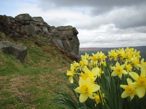 Ilkley Moor - The Cow and Calf