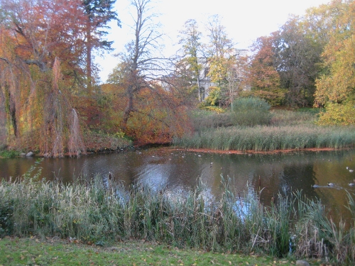 Schwanenteich / Swan Lake